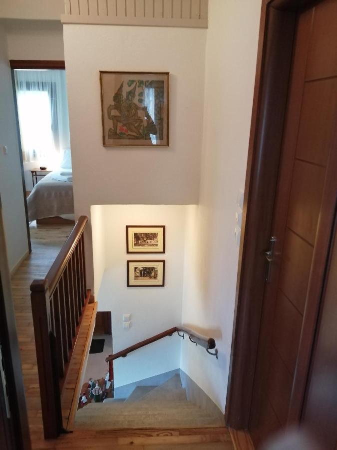 הוילה טסגרדה Delux House In Tsangarada מראה חיצוני תמונה