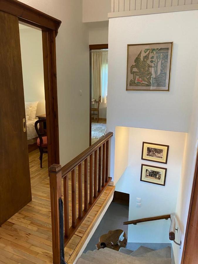 הוילה טסגרדה Delux House In Tsangarada מראה חיצוני תמונה