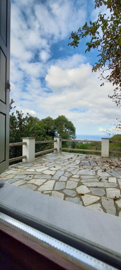 הוילה טסגרדה Delux House In Tsangarada מראה חיצוני תמונה