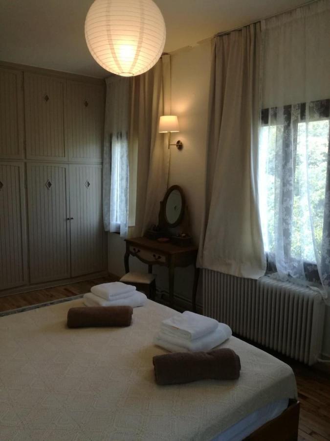 הוילה טסגרדה Delux House In Tsangarada מראה חיצוני תמונה
