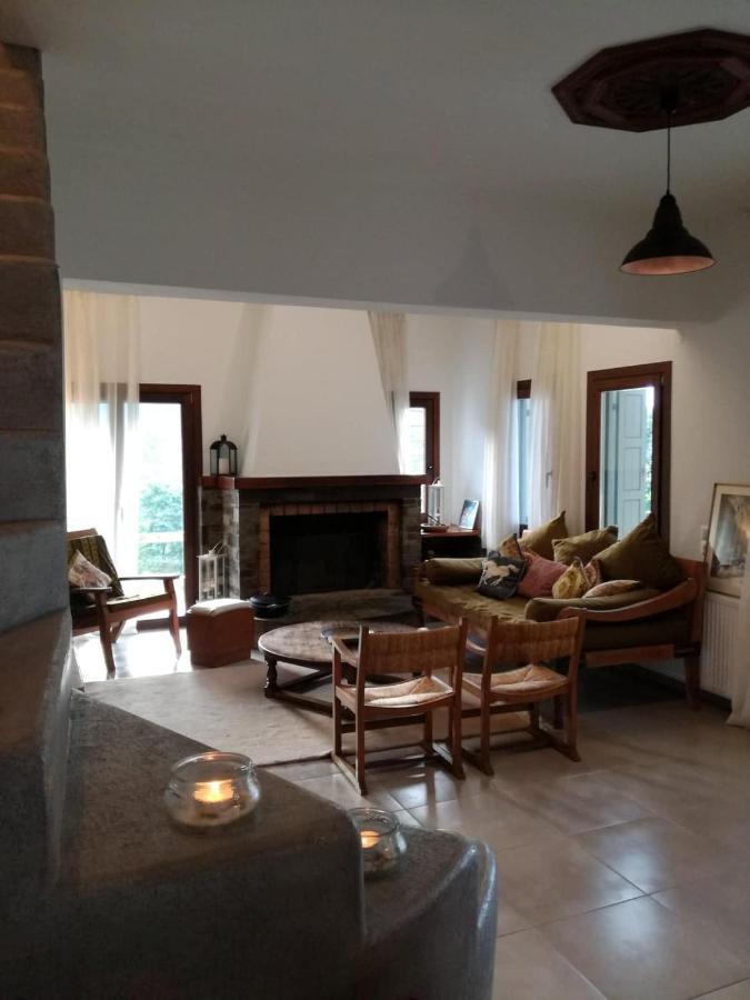 הוילה טסגרדה Delux House In Tsangarada מראה חיצוני תמונה