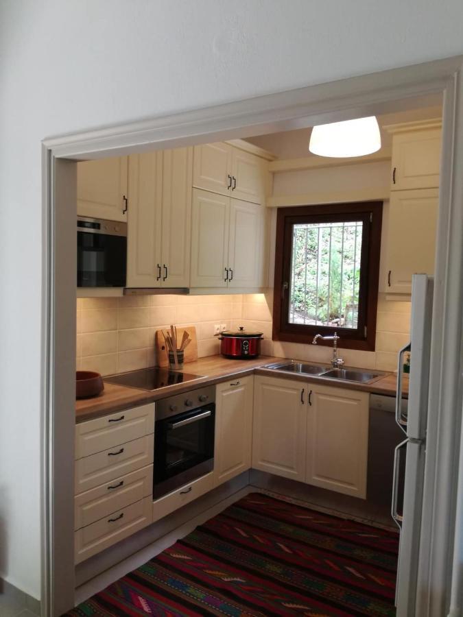 הוילה טסגרדה Delux House In Tsangarada מראה חיצוני תמונה