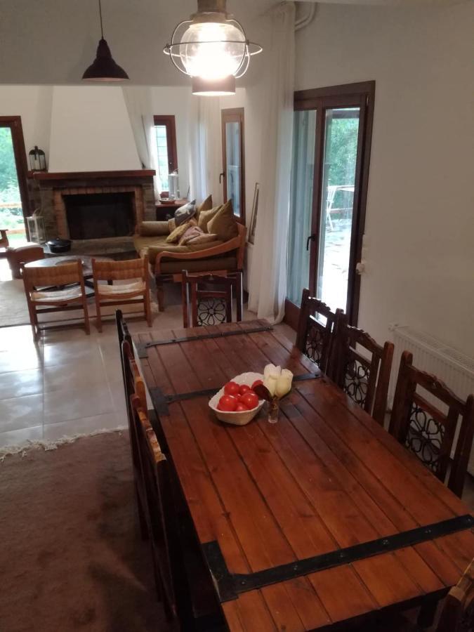 הוילה טסגרדה Delux House In Tsangarada מראה חיצוני תמונה