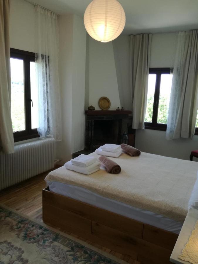 הוילה טסגרדה Delux House In Tsangarada מראה חיצוני תמונה